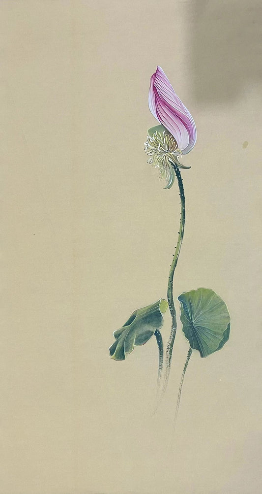 Chinese claborate-style painting——lotus  Decoration for Study