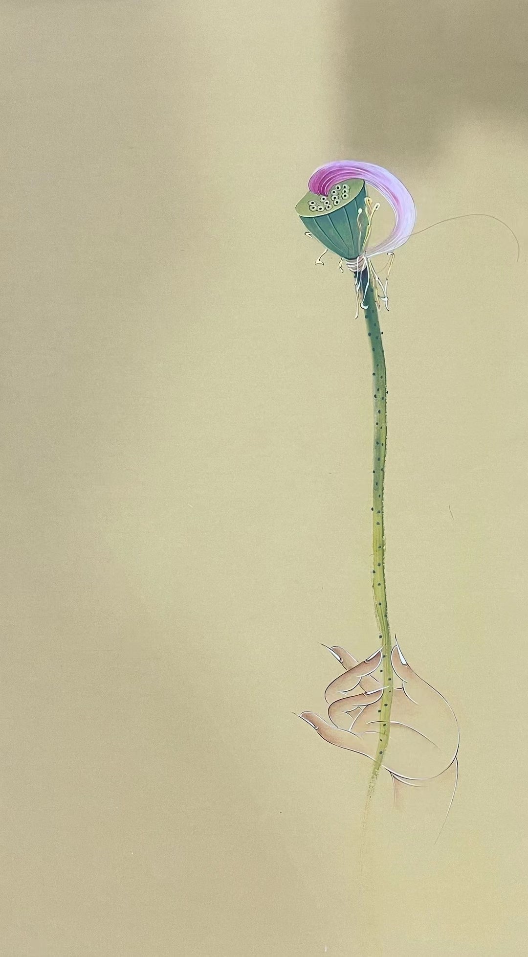 Chinese claborate-style painting——lotus  Decoration for Study
