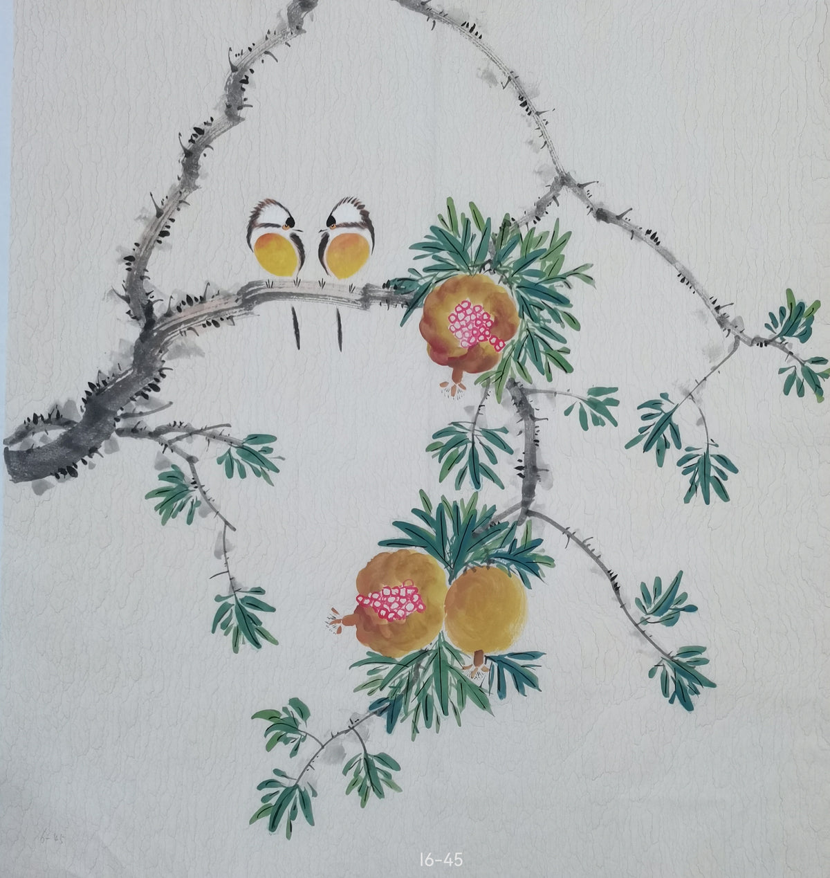 Chinese painting-plant. Pomegranate and birds. Study decoration