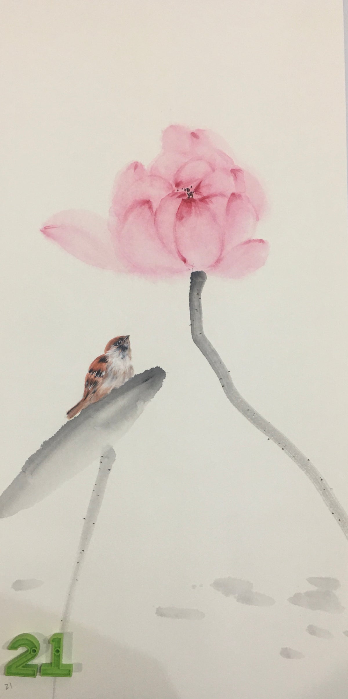 Chinese realistic painting-detailed painting.  Lotus and birds.