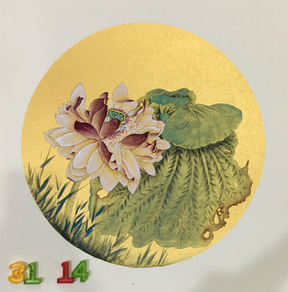 Chinese realistic painting-detailed painting.  Lotus.   Painted on hard paper jam