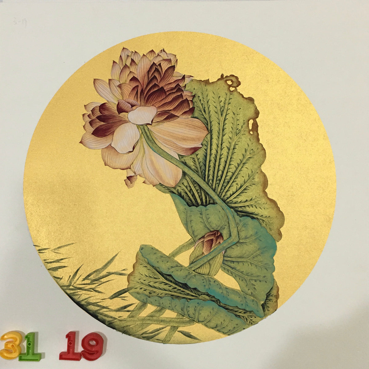 Chinese realistic painting-detailed painting.  Lotus.   Painted on hard paper jam